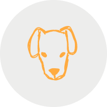 pet