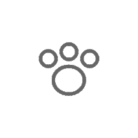 loader Image